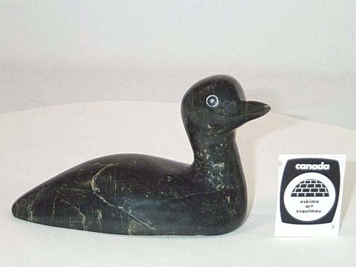 Duck