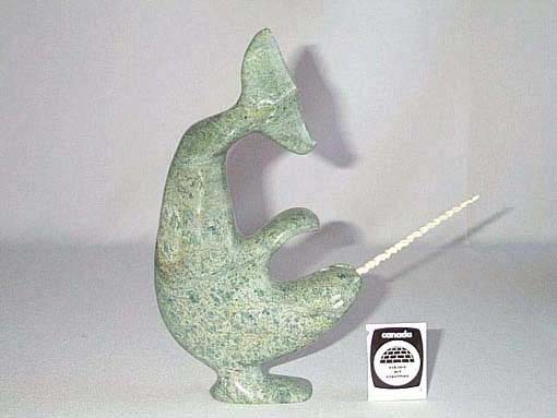 Narwhal