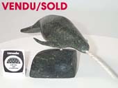 Narwhal