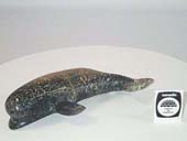 Whale